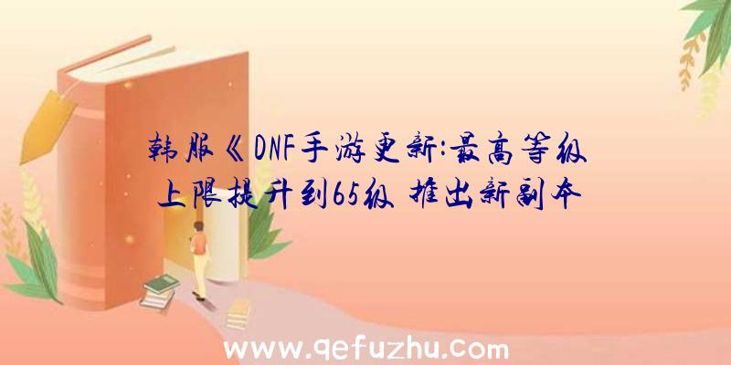 韩服《DNF手游更新:最高等级上限提升到65级